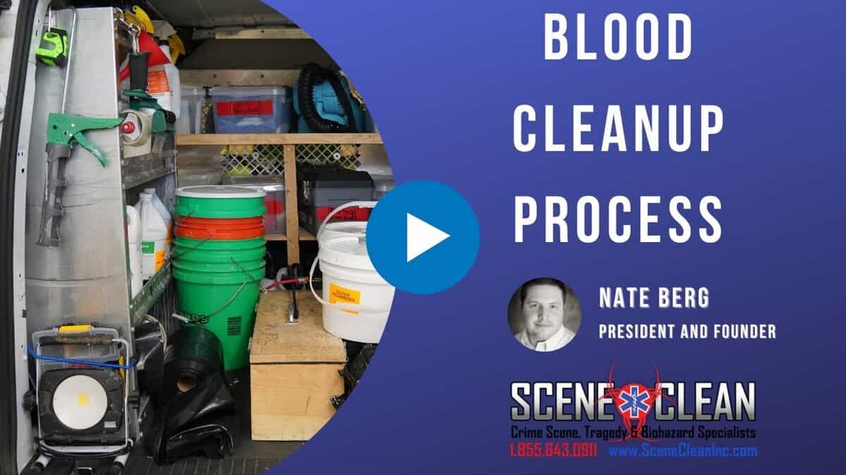 What Is Scene Clean's Process for Blood Biohazard Cleanup?