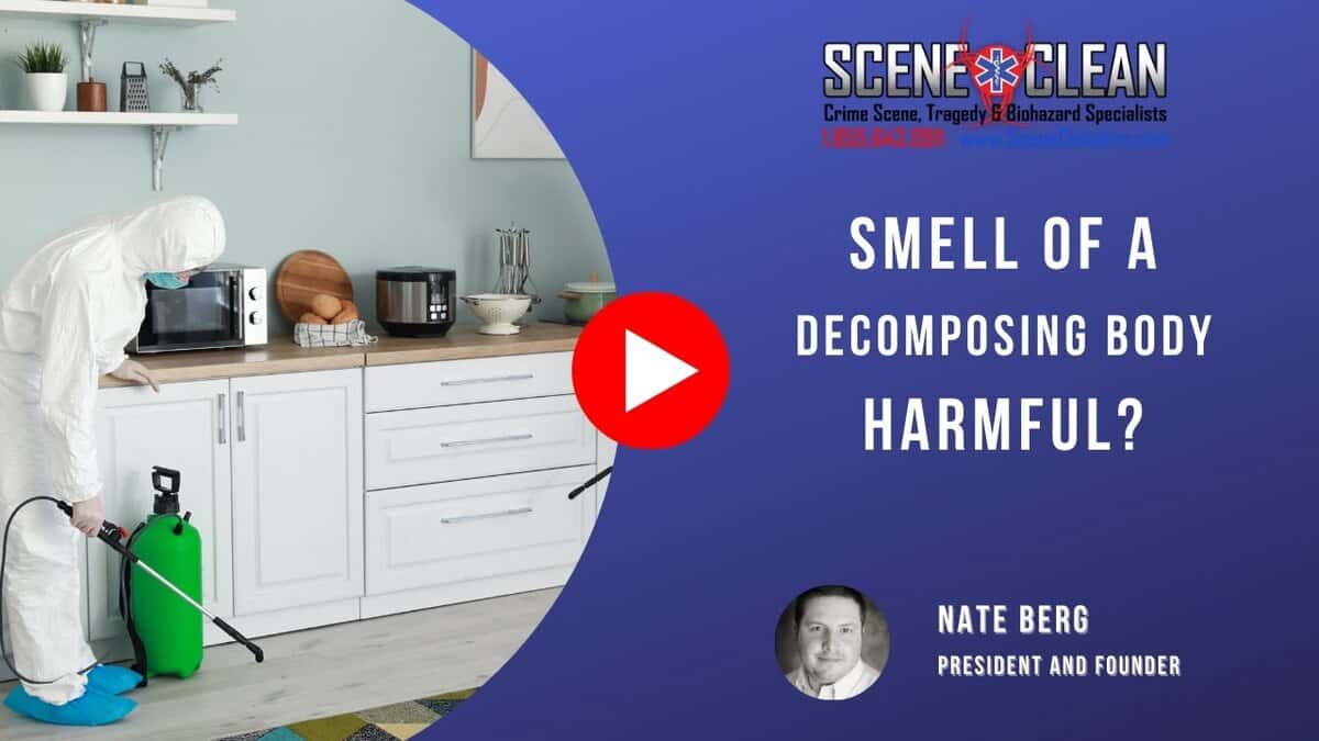 Can the Smell of a Decomposing Body Be Harmful?