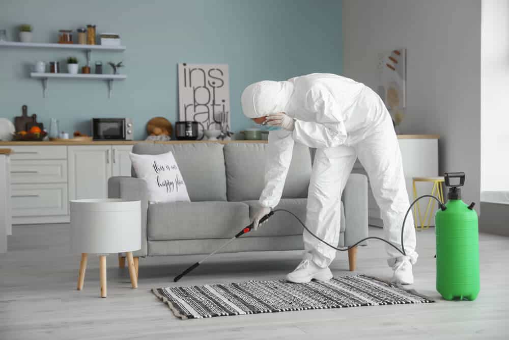 clean a house after c. diff inspection